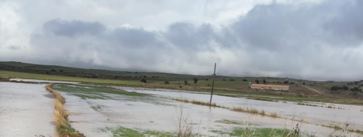 Jes&uacute;s Manuel Alonso, alcalde de &Aacute;greda: "hemos registrado lluvias de hasta 180 litros por metro cuadrado" | Imagen 1