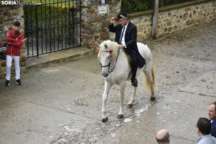 Día de la Provincia 2024.