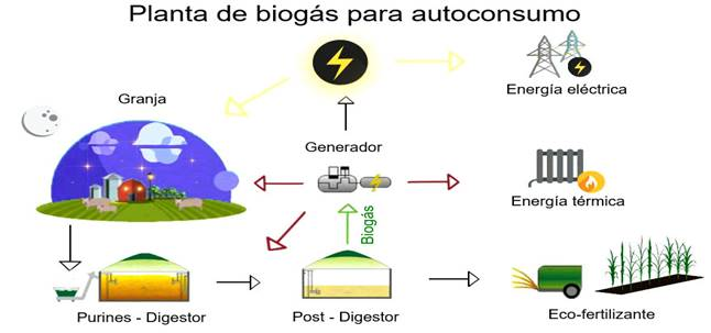 Tribuna de opini&oacute;n: El biometano como motor de Soria | Imagen 1