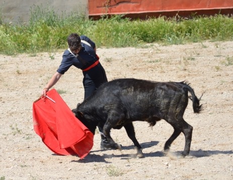 David Espej&oacute;n: &ldquo;Torear el Viernes de Toros es un orgullo como soriano, pero tambi&eacute;n una gran responsabilidad&rdquo; | Imagen 2