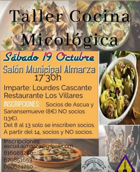 Aprende las mejores recetas micol&oacute;gicas con el taller de cocina que ofrece Almarza | Imagen 1