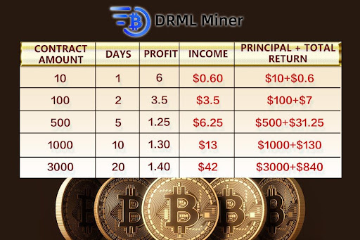 DRML Minero: Liderando la tendencia de innovaci&oacute;n en criptomonedas | Imagen 1