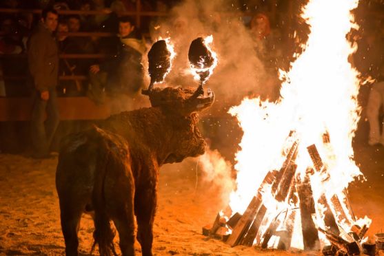 Turismo en Soria: &iquest;qu&eacute; ver en Medinaceli? | Imagen 9