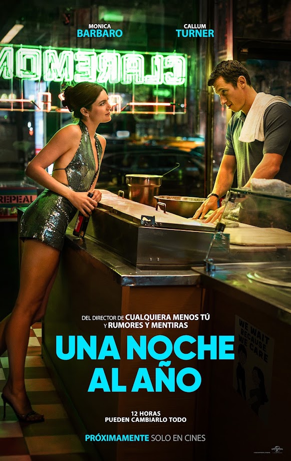 Cartel de Una noche al año