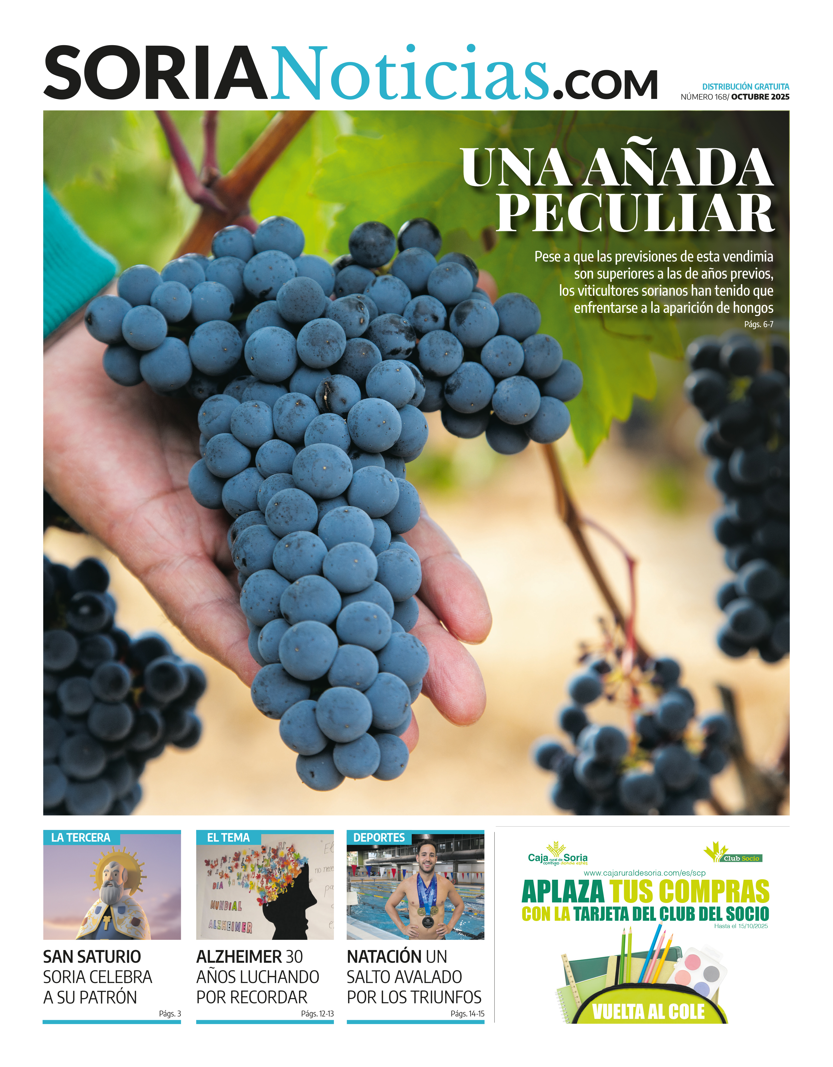 1ª quincena de 2025